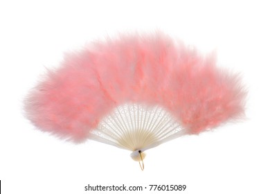 Folding Feather Fan Isolated On White Background