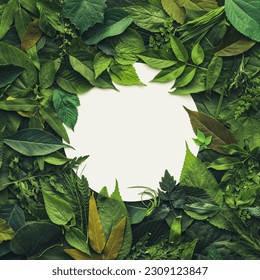 Foliage background with a variety of vibrant plant leaves showing a diverse ecosystem and the biodiversity of nature. Environmentally friendly or Earth day background with blank white card. - Powered by Shutterstock