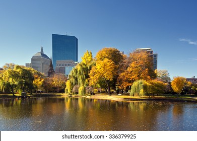 Foliage At Boston Common