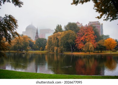 Foliage At Boston Common Public Park, Fall Foggy Day In October