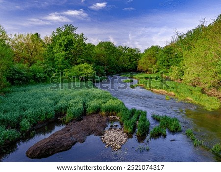 Foliage emerges and burst forth in spring along Prairie Creek, Midewin National Tallgrass Prairie, Will County, Illinois