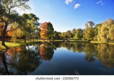 Foliage In Laz Anderson Park In Boston