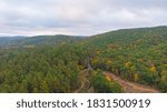 Foliage starting in North Western Connecticut Region