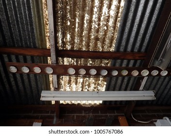 Folk Art On The Tin Ceiling Of Old Shed 