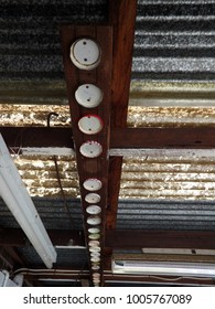 Folk Art On The Tin Ceiling Of Old Shed 