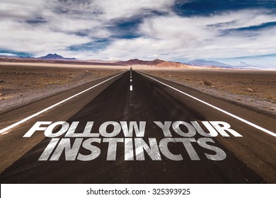Follow Your Instincts written on desert road