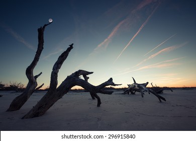 Folly Beach At Twilight, James Island, South Carolina, USA