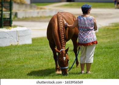 Fond Du Lac, Wisconsin / USA - July 17th, 2019: Older Woman Petting A Brown Horse While The Horse Feeds On Grass At The Fairgrounds Horse Riding Training Center. 