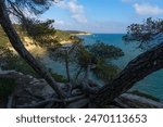 Fonda beach (Cala Fonda) and La Marquesa pine forest with the Mora tower and the cliffs in the background in a sunny day. Tarragona, Catalonia, Spain.