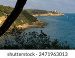 Fonda beach (Cala Fonda) and La Marquesa pine forest with the Mora tower and the cliffs in the background in a sunny day. Tarragona, Catalonia, Spain.