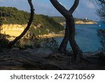 Fonda beach (Cala Fonda) and La Marquesa pine forest with the Mora tower and the cliffs in the background in a sunny day. Tarragona, Catalonia, Spain.