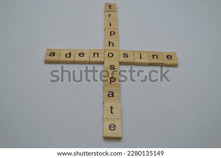 The font design for adenosine triphosphate was created using wooden cube blocks on a white backdrop. A molecule that stores energy and is present in all human cells. ATP is commonly shortened.