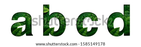 Font leafs a,b,c,d made of Real alive leafs with Precious paper cut shape. Leafs font.