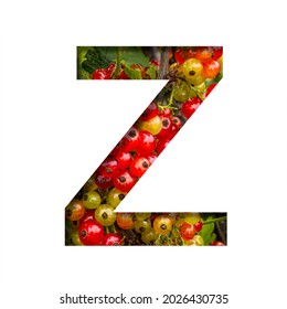 Font on red currant. The letter Z cut out of paper on the background of bright ripe bunches of red currants berries. Fruit or berry decorative alphabet, font collection.