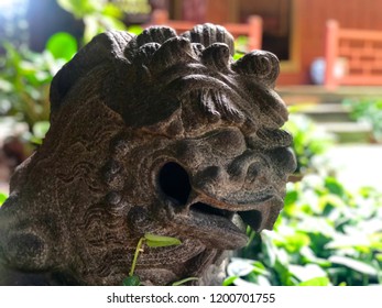 Foo Dog. Fu Lion. Stone Lion Sneak Peek In The Tropical Garden. Representatives Believe In Eliminating Evil And Receiving Good Things.