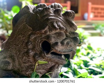 Foo Dog. Fu Lion. Stone Lion Sneak Peek In The Tropical Garden. Representatives Believe In Eliminating Evil And Receiving Good Things.