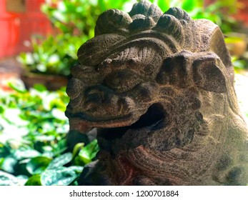 Foo Dog. Fu Lion. Stone Lion Sneak Peek In The Tropical Garden. Representatives Believe In Eliminating Evil And Receiving Good Things.