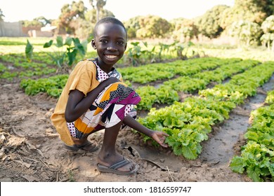 Food For Africa! Young Black Boy Smiling In Front Of Lettuce Salad Field