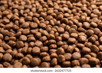 Fondo de alimentos para animales. Textura seca de la comida del gato y del perro, modelo. Fondo de comida para mascotas de cerca. Comida seca para perros y gatos. Vista superior de comida para mascotas seca. Gránulos de buena nutrición para perros y gatos.