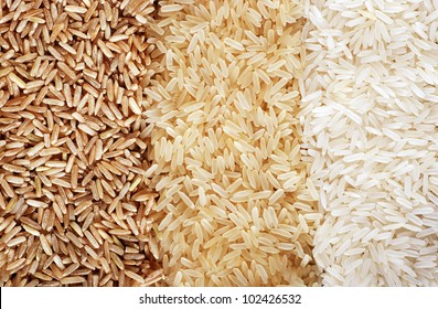 Riz Images Stock Photos Vectors Shutterstock