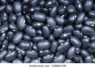 82 Feijao preto Images, Stock Photos & Vectors | Shutterstock