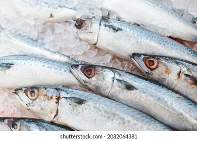 Food Backgrounds. Fresh Mackerel On Ice In Supermarket. Scombridae Saba Fish.