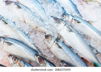 Food Backgrounds. Fresh Mackerel On. Scombridae Saba Fish.