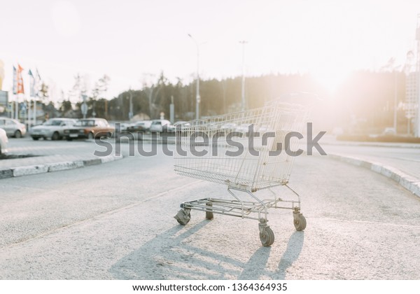 Food basket and the girl\'s hands. Trolley\
for shopping products in the supermarket.\
