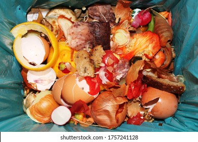 A Food Bin Container Full Of Veg And Fruit Domestic Waste, Ready To Go To The Recycling Centre