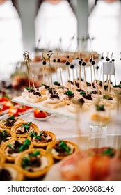 Food Buffer Catering. Different Canapes And Appetizer On Table