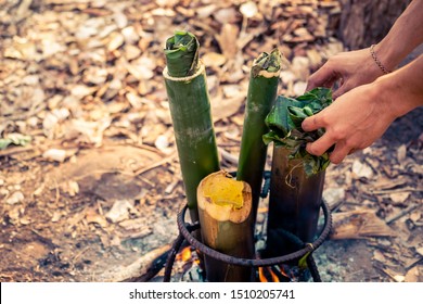 Food Capming Concept, Cooking Rice In Bamboo Section Tube Grilled On Fire Flame In Camping On Hills On Blurred Dry Leaf Of Tree Background In Forest