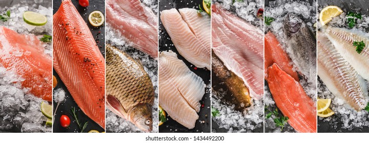 Food Collage Of Various Fresh Fillet Fish, White Fish Pangasius, Salmon Red Fish, Trout Fish Steak With Ice And Spices. Seafood, Top View