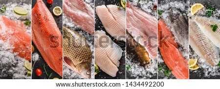 Food collage of various fresh fillet fish, white fish pangasius, salmon red fish, trout fish steak with ice and spices. Seafood, top view