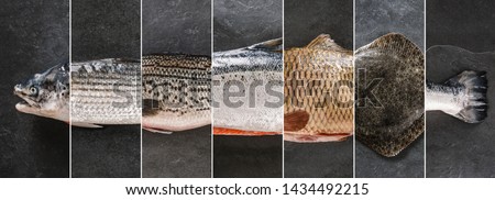 Food collage of various fresh fish, white fish pangasius, salmon red fish, trout, dorado, carp, flounder on dark stone background. Creative layout made of seafood, top view