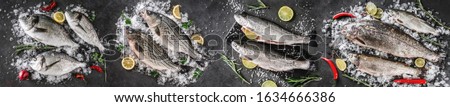 Food collage of various fresh fish, white fish pangasius, salmon red fish, trout, dorado, carp with ice and spices on dark stone background. Creative layout made of seafood, top view