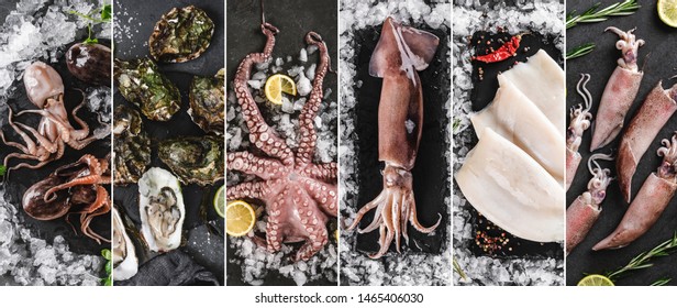 Food Collage Of Various Fresh Raw Fillet Squid, Octopus, Oysters, Baby Octopuses With Ice And Spices On Dark Stone Background. Creative Layout Made Of Seafood, Top View