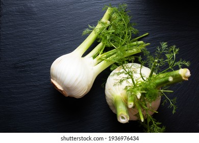 Food concept spot focus oganic Fennel on black slate stone board with copy space 