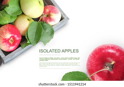 apple box design