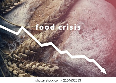 Food Crisis Failed Grain Harvest Shortage Stock Photo 2164632333 ...