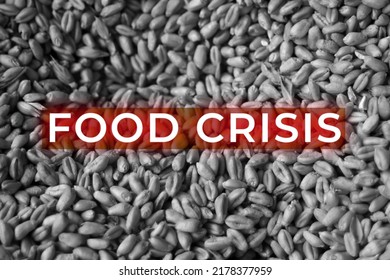 Food Crisis. Global And European Grain And Wheat Crisis, Ukraine. Export Grain. Word Design. Farming Background. Oats, Barley, Rye. Red Hands. Evil. Agriculture. Disaster. Economic. Black And White.