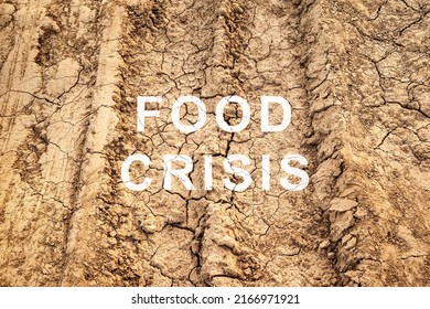 Food Crisis. Hunger In The World. Failed Grain Crops. Bread Shortage. Drought And Crop Failure. The Global Threat Of Famine To The Whole World. Economic Crisis.