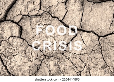 Food Crisis. World Hunger. Failed Grain Crops. The Shortage Of Bread. Drought And Crop Failure. The Global Threat Of Famine To The Whole World. Dry Land. Economic Crisis.