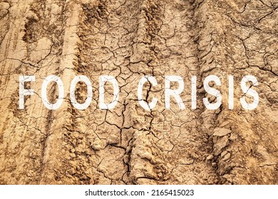 Food Crisis. World Hunger. Failed Grain Crops. Bread Shortage. Drought And Crop Failure. The Global Threat Of Famine To The Whole World. Economic Crisis.