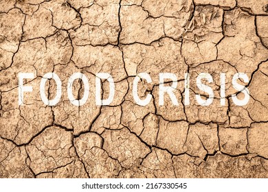 Food Crisis World Hunger Failed Grain Stock Photo 2167330545 | Shutterstock