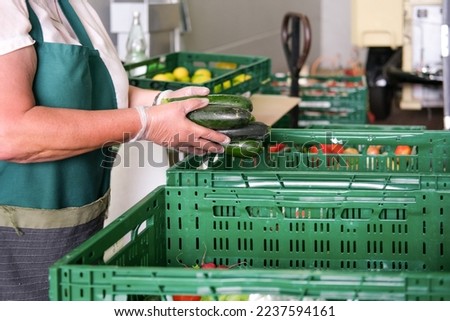 Food donation concept: Volunteer woman wearing gloves packs fruits and vegetables such as fresh peppers into green boxes for distribution to those in need and for the poor - selective focus