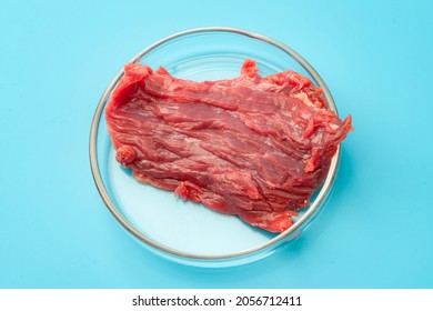 Food engineering, lab grown beef and the diet of the future concept with meat in glass petri dish isolated on blue background in science laboratory
