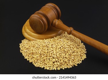 Food Export And Trading Regulation Concept. Wheat Grains And Judge Gavel On Black Background.