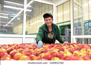 Food Factory: Assembly Line With Apples And Workers 