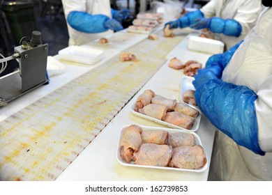 Food Industry Detail With Poultry Meat Processing