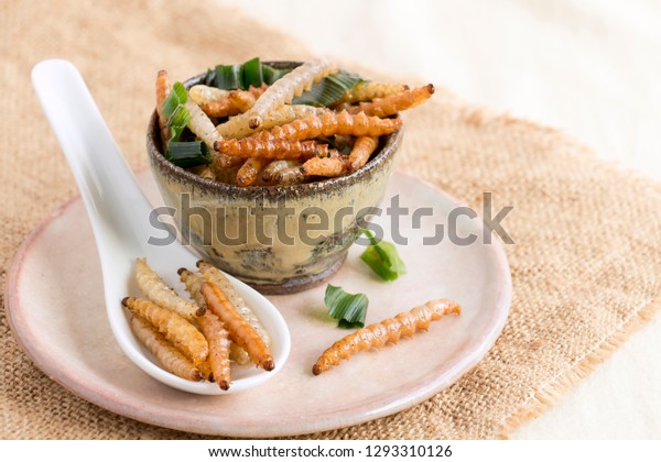 Lebensmittelinsekten Bambus Wurm (Bamboo Caterpillar) Insekt